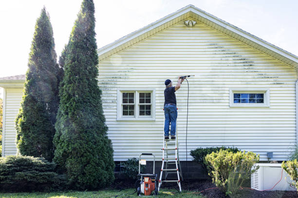 Best Fence Cleaning  in Stratford, CA
